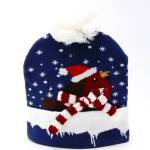 Novelty Christmas Robin LED Hat