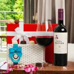 Red Wine & Chocolate Gift Hamper