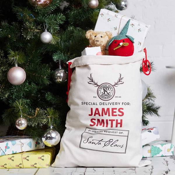 Special Delivery Christmas Santa Sack