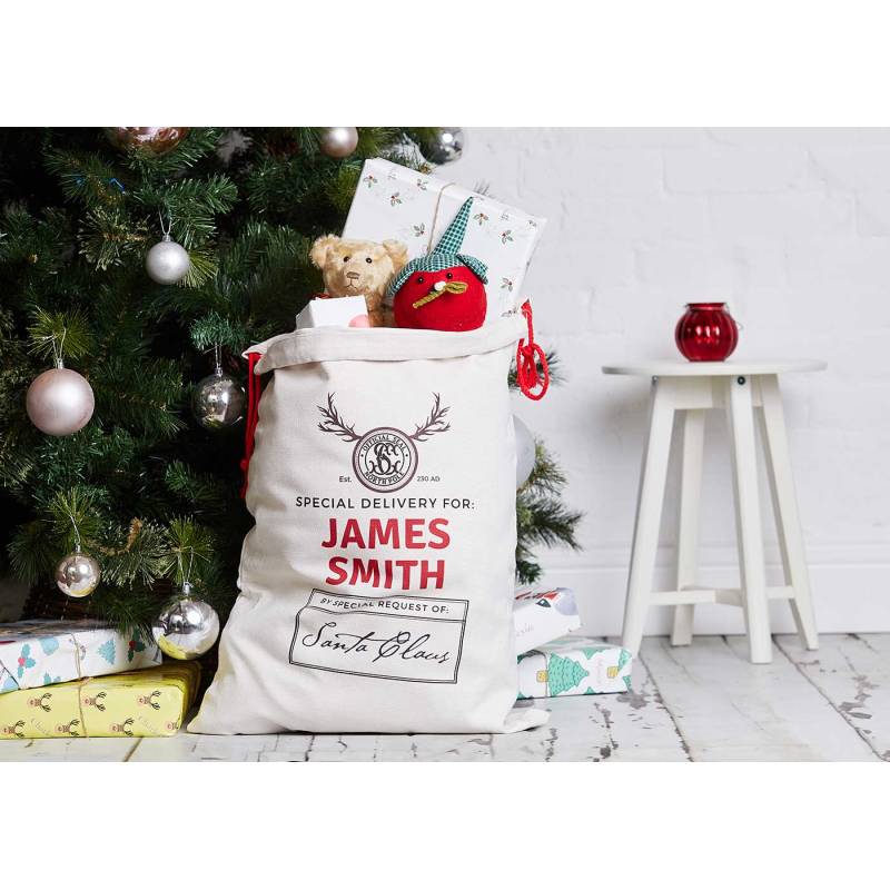 Special Delivery Christmas Santa Sack