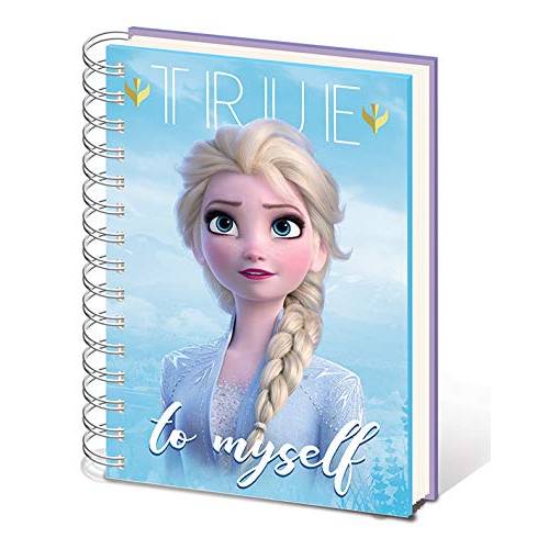 Frozen 2 Sisters A5 Metallic Notebook