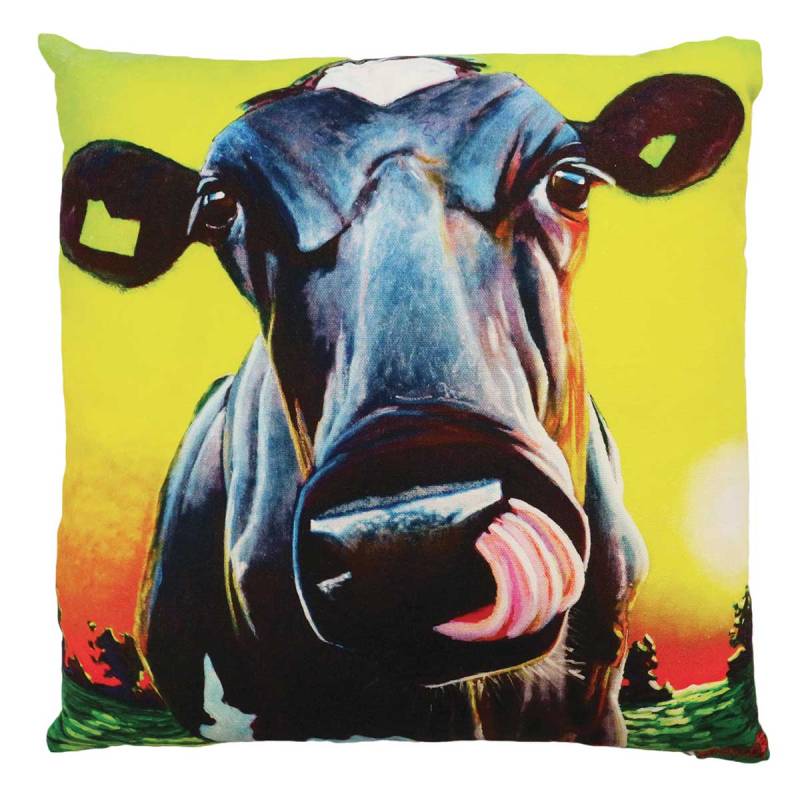 Eoin o'Connor Sunshine Girl 45cm Cushion