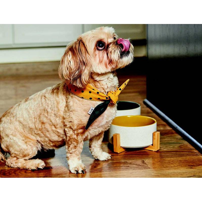 Ceramic Dog Bowl With Bamboo Stand - Yellow