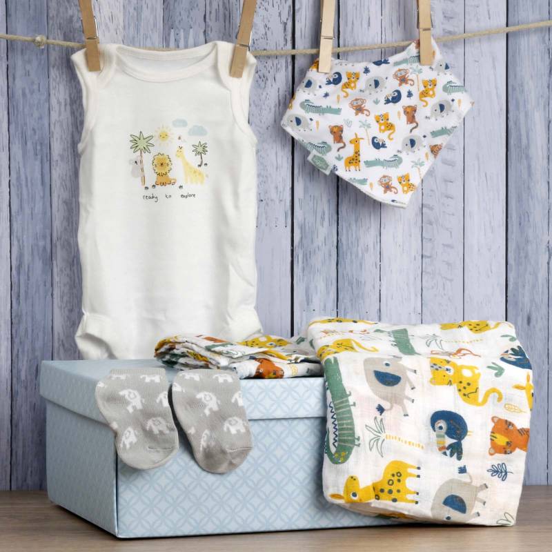 Hello Baby Boy Gift Hamper