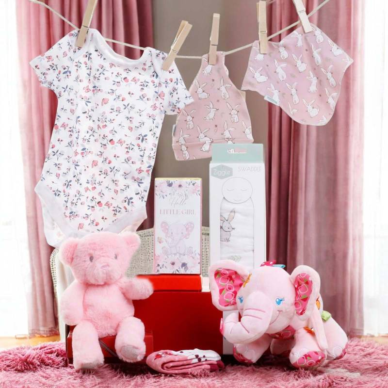 Hello Baby Girl Gift Hamper