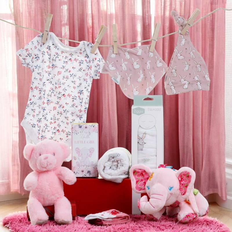 Hello Baby Girl Gift Hamper