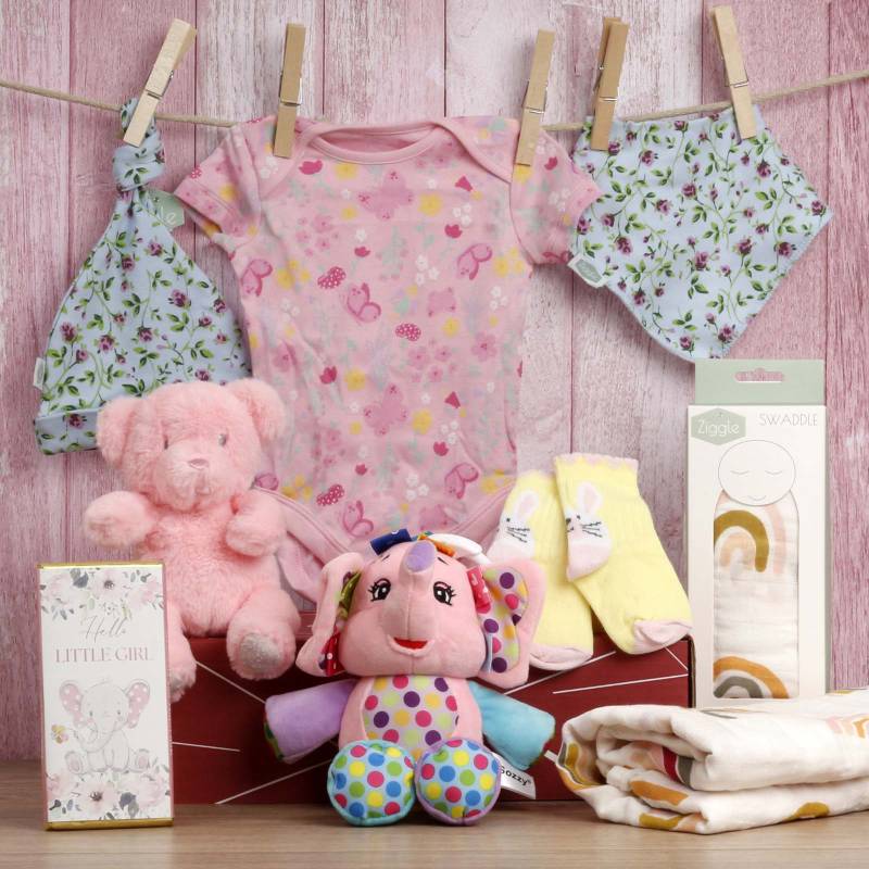 Hello Baby Girl Gift Hamper