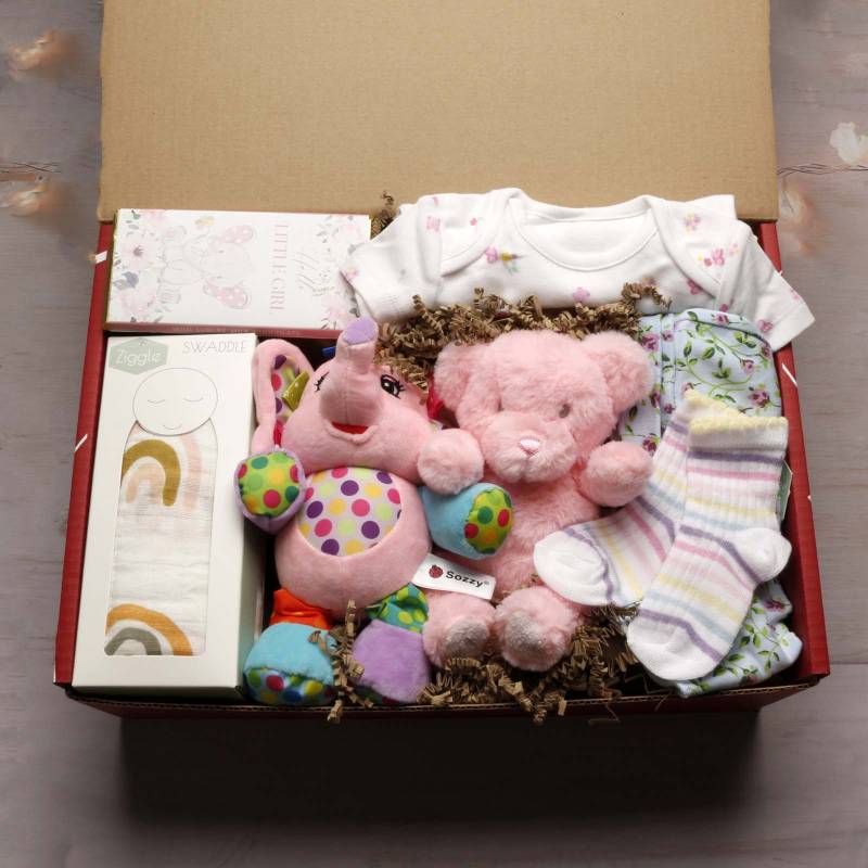 Hello Baby Girl Gift Hamper