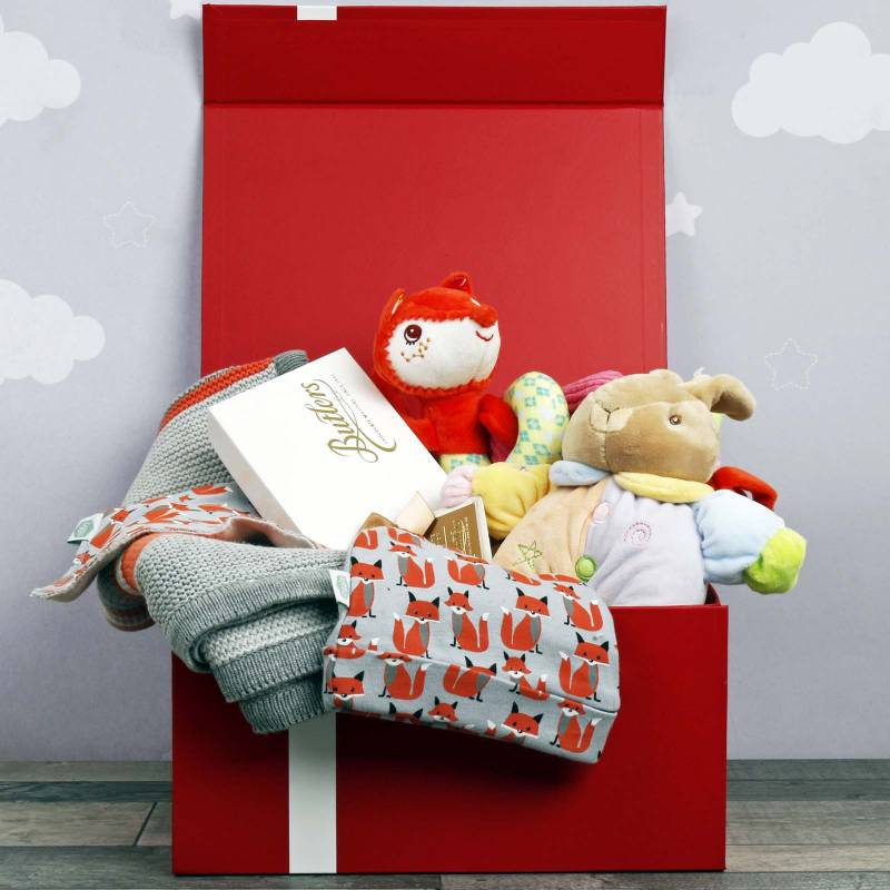 The Cosy Fox Cub Baby Hamper