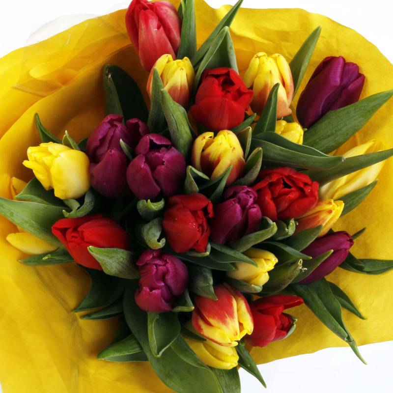 The Rainbow Tulips Fresh Flowers Bouquet