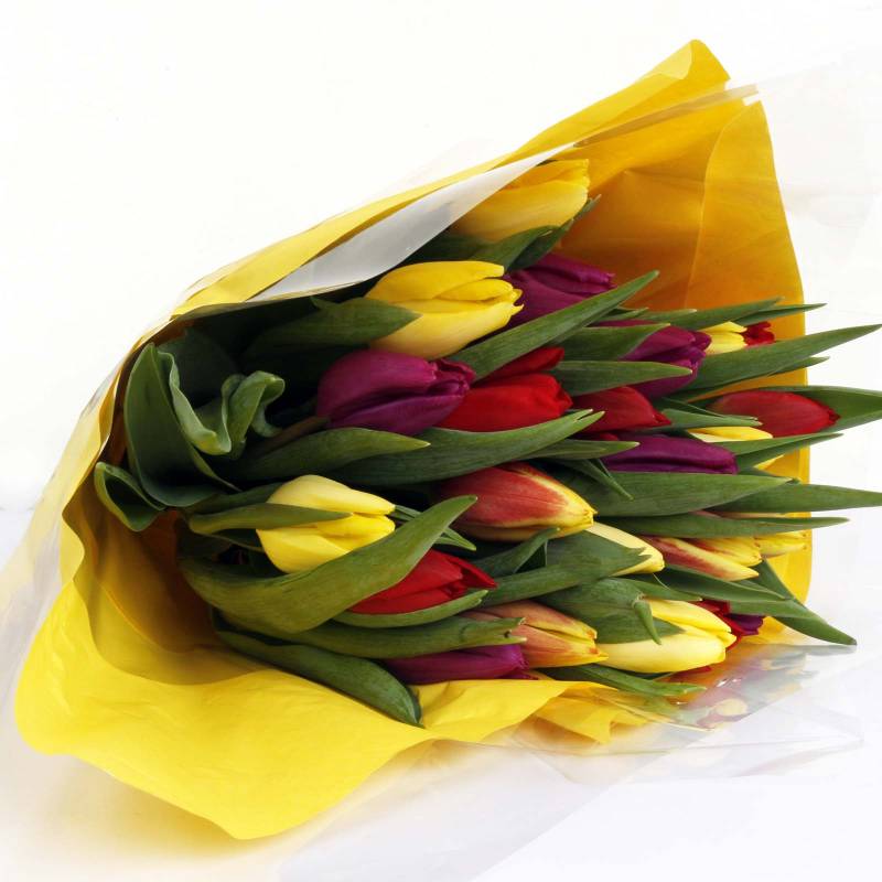 The Rainbow Tulips Fresh Flowers Bouquet