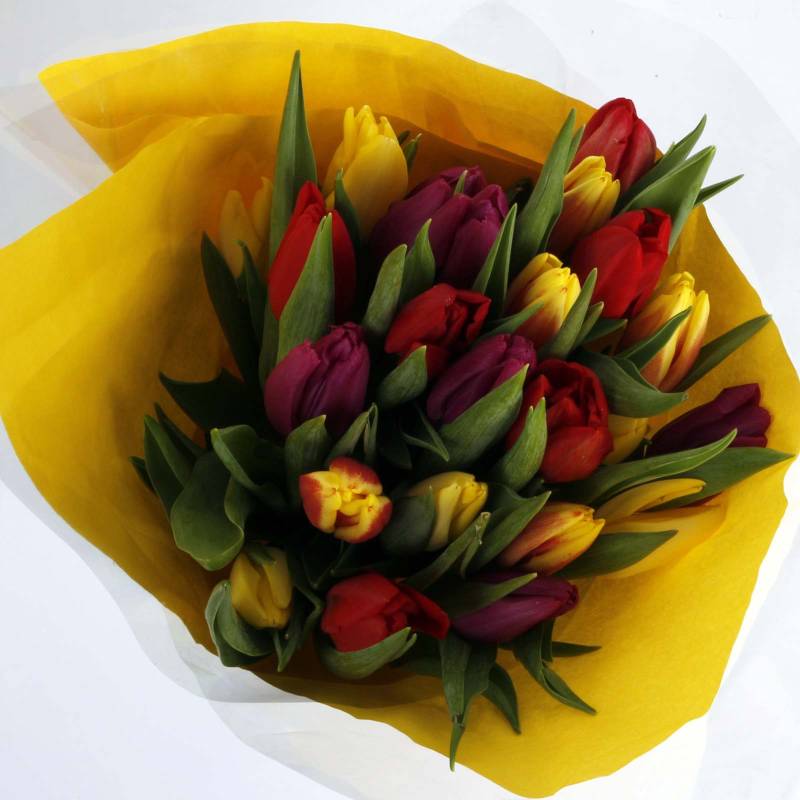 The Rainbow Tulips Fresh Flowers Bouquet