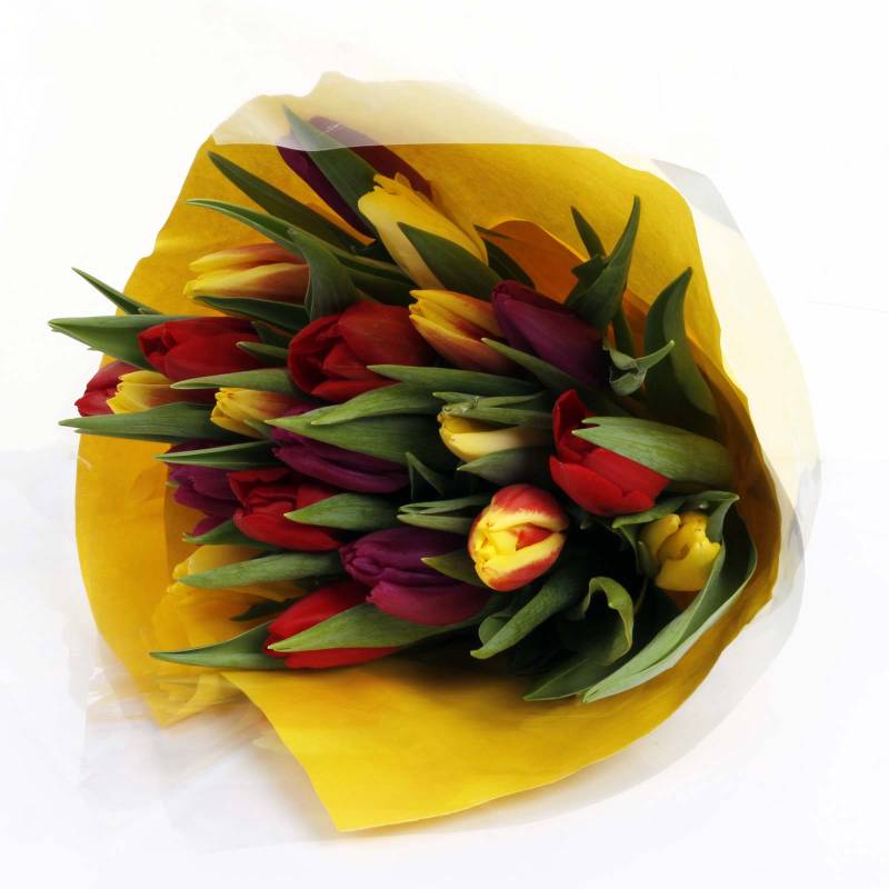 The Rainbow Tulips Fresh Flowers Bouquet