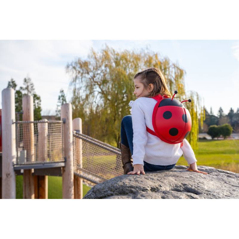 Ladybug Backpack