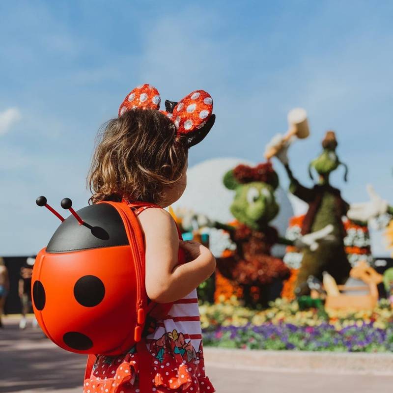 Ladybug Backpack