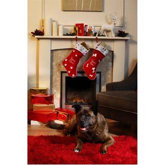 Christmas Pet Stocking - For Cats & Dogs