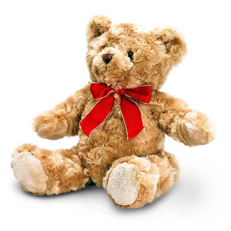 Traditional Teddy Bear