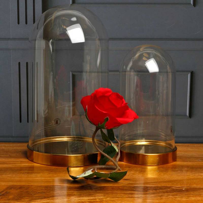 A Tale as Old as Time - Personalised Glass Cloche