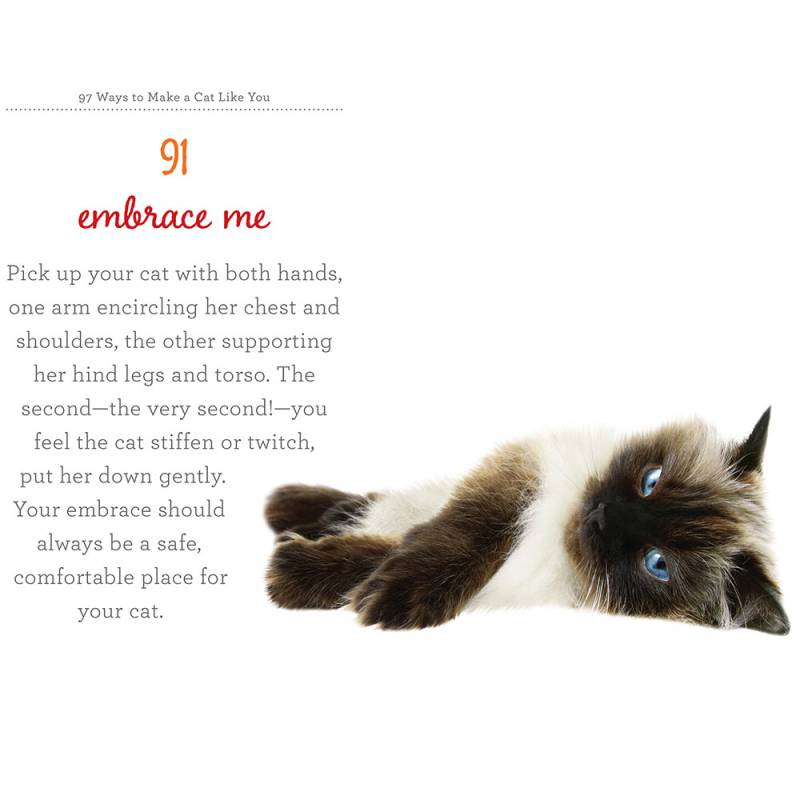 97 Ways To Make A Cat Like You