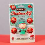 Grow Your Own Christmas Elf