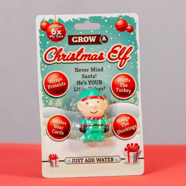 Grow Your Own Christmas Elf