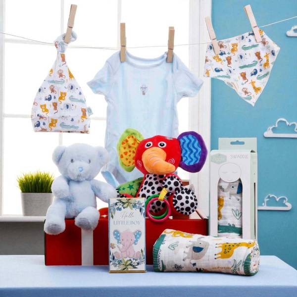 Hello Baby Boy Gift Hamper