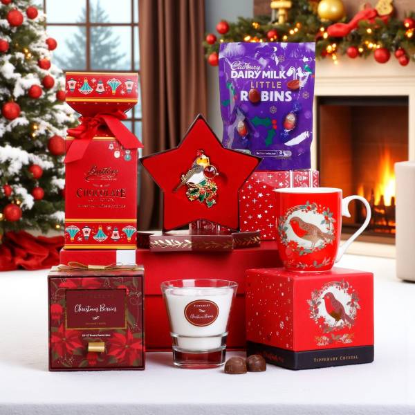 The Robin's Christmas Wish