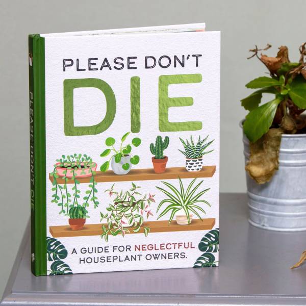 Please Don't Die - A Guide For Houseplant Owners