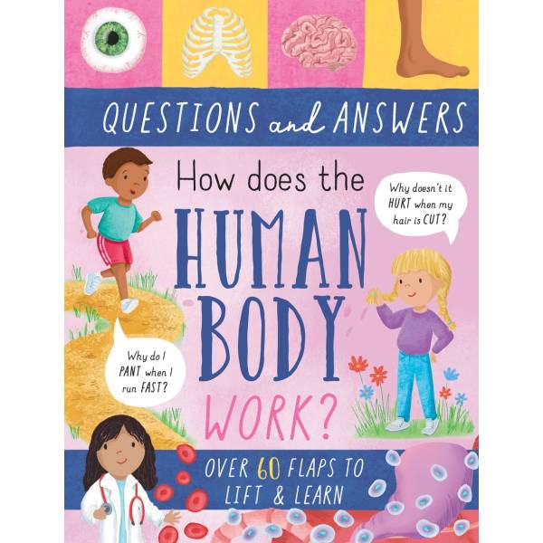 How Does The Human Body Work - Questions & Answers