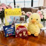 Easter Chick & Easter Chocolate Gift Pack