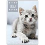 Personalised Cute Kitten Pet Photo Greeting Card with Name Option