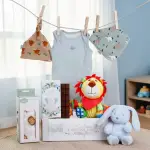 Hello Baby Boy Gift Hamper