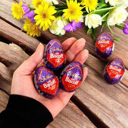 Cadbury Biscoff Creme Egg 32g