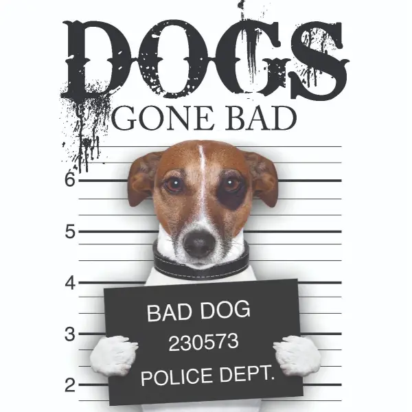 Dogs Gone Bad