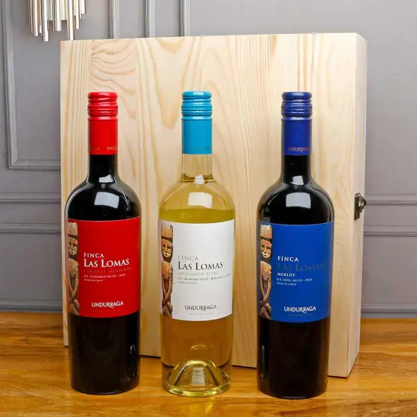 Chilean Trio Wine Set in Gift Box