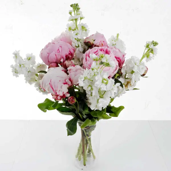 The Elegance Fresh Peonies Flowers Bouquet