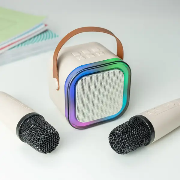 Dual Mini Karaoke Set