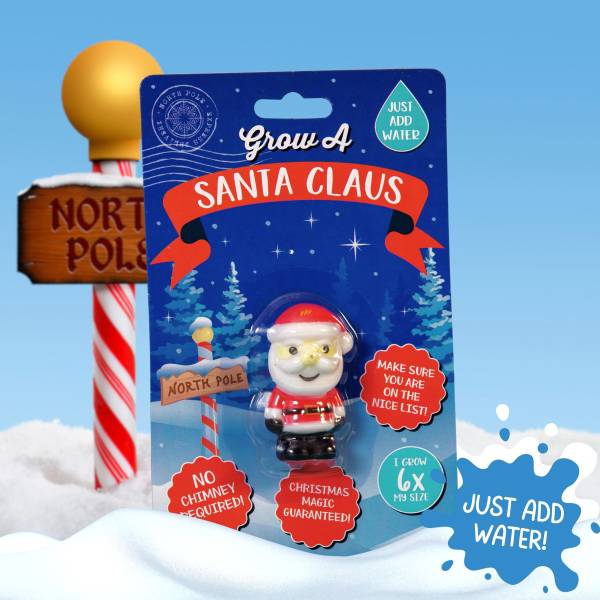 Grow Your Own Christmas Santa