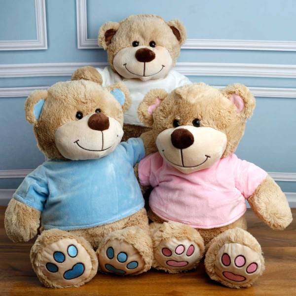 Bear with T-Shirt - Personalised