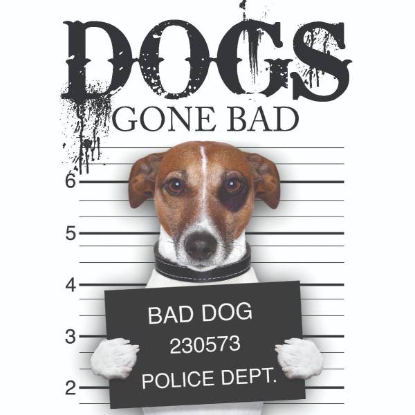 Dogs Gone Bad