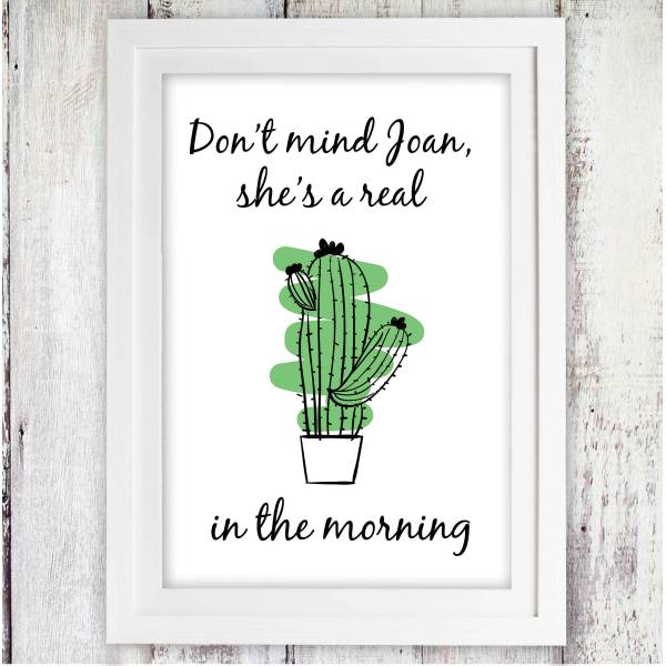 Cactus in the morning Poster
